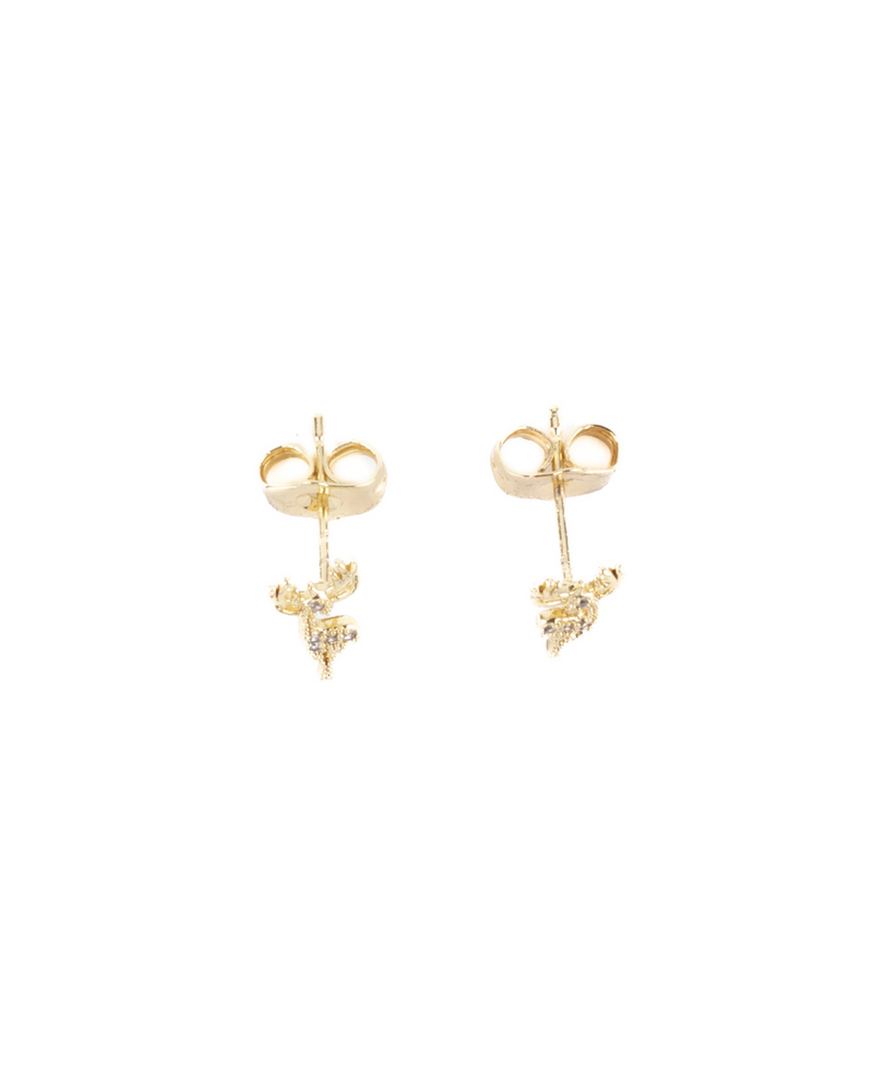 Aretes Ross